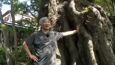 テレビ大阪「関西リーダー列伝」に出演しているモンベル創業者・辰野勇さん｜堺市のニュースならサカイタイムズ
