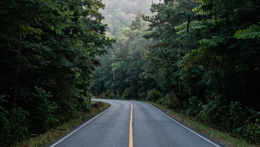 A winding asphalt road along the forest in Watauga County, North Carolina, morning fog rising from the deep valleys, documentary style.