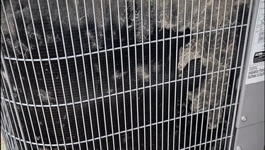 AC unit cleaning
