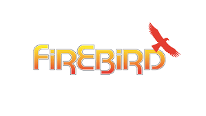 Firebird oil boiler servicing Roborough near Winkleigh