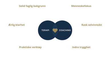 Derfor funker Teracoach metodikken