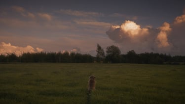 Viktorijos Šaulytės nuotrauka