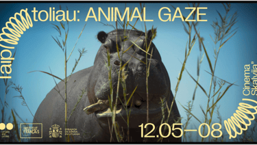 ANIMAN GAZE