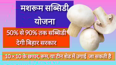 Mushroom Subsidy Yojana 2025