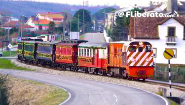 Comboio histórico do Vouga ESPECIAL DE NATAL