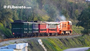 Comboio histórico do Vouga ESPECIAL DE NATAL