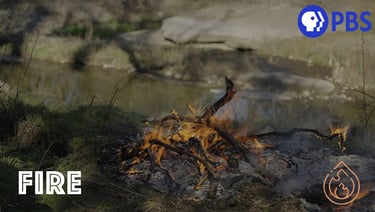 PBS: In Their Element | Fire