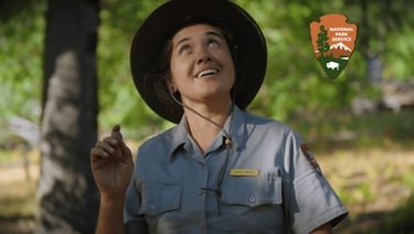 Tribal Tending of Black Oak in Yosemite National Park