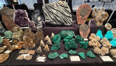 A collection of geological specimens including green malachite, purple amethyst crystals, and ancient fossils.