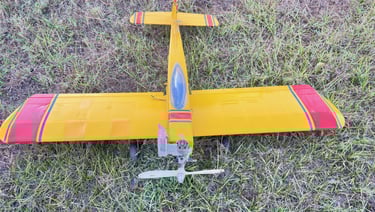 Yellow & Red Low Wing