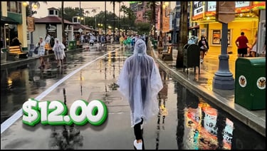 $12 theme park ponchos