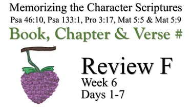 Review F (Days 1-7)