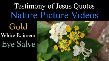 Testimony of Jesus Nature Picture Videos