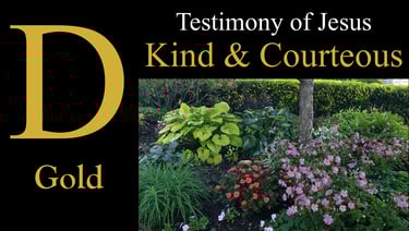 D - Kind & Courteous