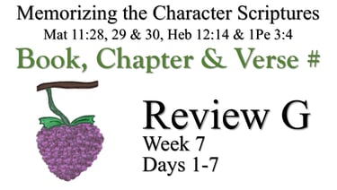 Review G (Days 1-7)