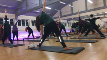 Cursuri de yoga tradițională în București – grup de practicanți în sala Alchimia Vieții