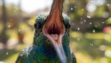 Why Bird Lungs Are Pathogen Superhighways