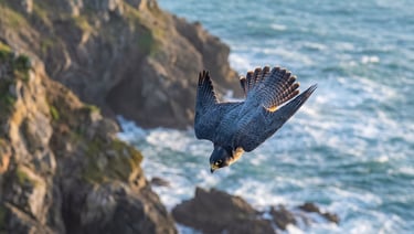 How Birds Digest Food Without Teeth: The Gizzard Explained