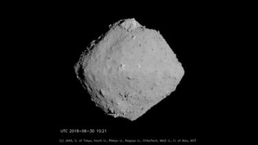 Asteroid Ryugu DNA Discovery: What the Headlines Missed