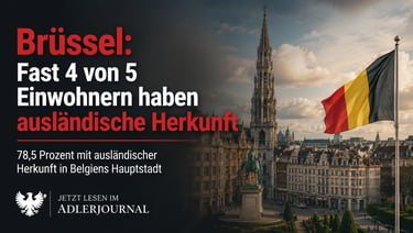 Brüsseler Stadtansicht mit belgischer Flagge und Text über Einwanderungsstatistiken in der belgische