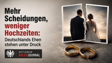 Ein zerrissenes Hochzeitsfoto und zerbrochene Ringe veranschaulichen die steigenden Scheidungsraten 