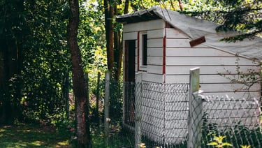 an old white shed surrounded by trees