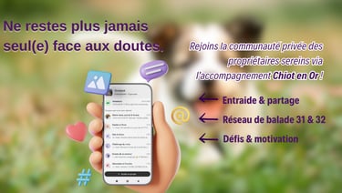 comportementaliste canin 31 et 32