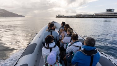 boat leaving the port in Funchal