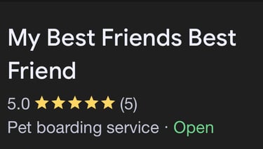 Testimonial & Reviews