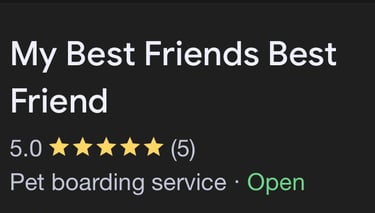 Testimonial & Reviews