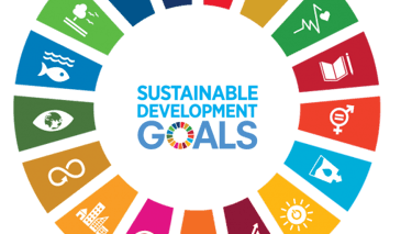 sustainability_development_goals_wheel