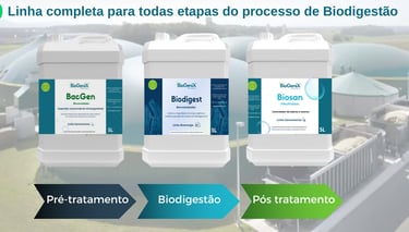 biodigestores; bioenergia