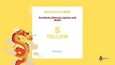 2024 - West Yellow Misfortune Star - Flying Star Chart