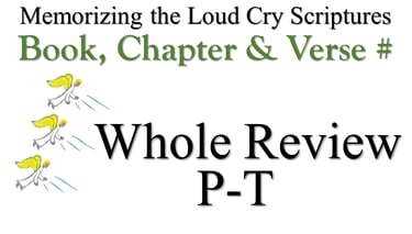 P-T Book, Chapter & Verse # Whole Review