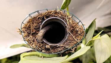 DIY self watering moss pole