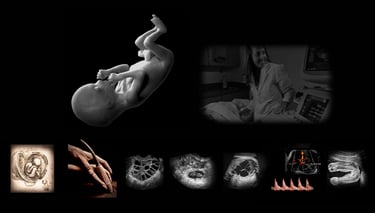 Panel of anatomy and hands-on obstetric and fetal ultrasound images. 