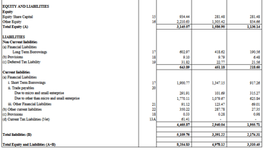 liabilities balance sheet_vishnu prakash r punglia ipo analysis