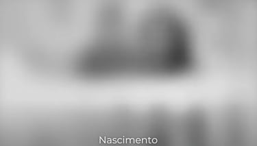 Simulação de visão ao nascimento – percepção muito borrada, sem foco ou definição de formas