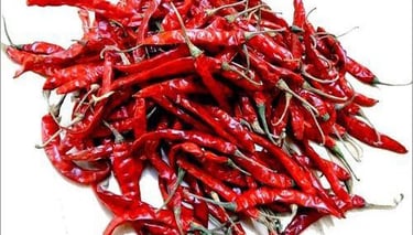 Teja chilli-premium variety from Nadaf Enterprises