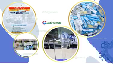 Water Testing Kits