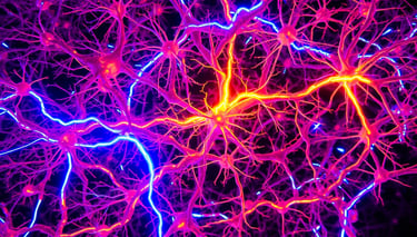 le bog blog idee vs creation image 2