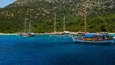 Boat trips