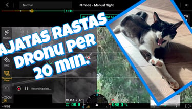 Dingusios katės paieška termoviziniu dronu anksti ryte