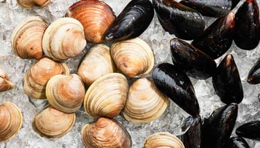 seafood