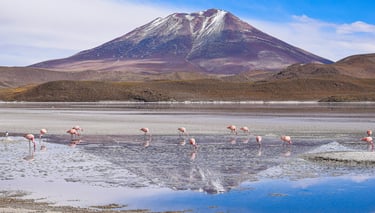 Chili Patagonie Sud Lipez
