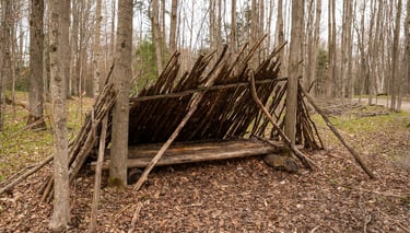simple shelter in the wood