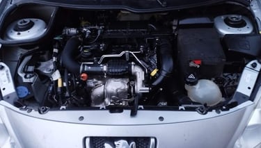 Nettoyage moteur professionnel – compartiment moteur propre et rénové