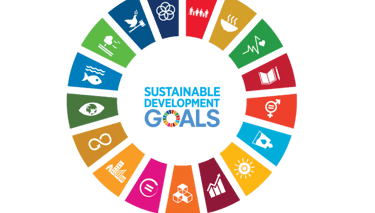sustainability_development_goals_wheel