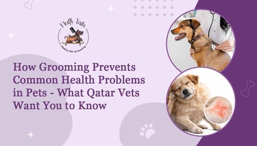 How Grooming Prevents Common Health Problems in Pets - What Qatar Vets Want You to Know