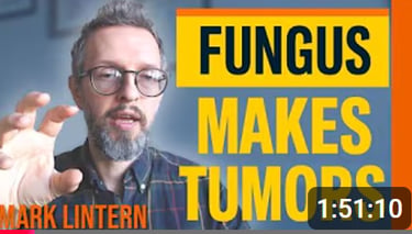 Felix Mueller - PKD Podcast with Mark Lintern